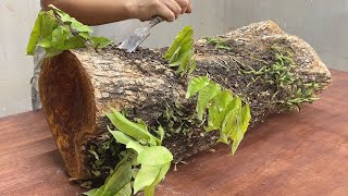 Most Unique Coffee Table Design Ideas  Amazing Skills Of Young Carpenter With Ancient Tree Trunk [upl. by Byrd]