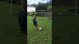 How to kick a soccer ball [upl. by Cobby]