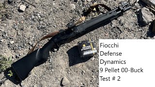 Fiocchi Defense Dynamics 9 Pellet Buck Patterning  Test 2 Beretta A300 Ultima Patrol [upl. by Ecidnacal742]