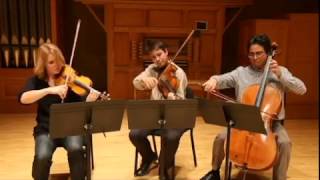 Dvorak American Quartet II minus violin1 [upl. by Irdua846]