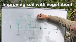 No soil  Poor soil  Try improving your soil using plant diversity and diverse microorganisms [upl. by Moody]