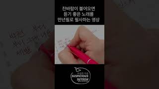 입문용 만년필 파이롯트 프레라 만년필 만년필필사 노래가사쓰기 만년필리뷰 [upl. by Tsepmet861]