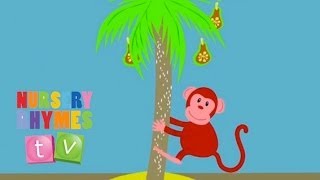 MONKEY  Original Song  Nursery Rhymes TV  English Songs For Kids [upl. by Yentirb983]