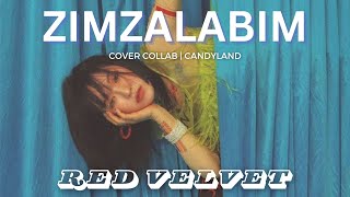 COVER  RED VELVET  ZIMZALABIM  CANDYLAND 🍬 [upl. by Ardie853]