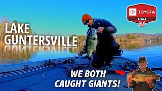 LAKE GUNTERSVILLE Toyota Series  We Caught GIANTS [upl. by Ahsertal]