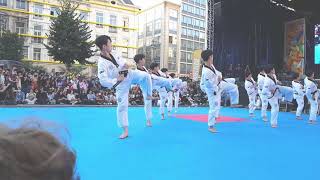 Taekwondo Kukkiwon Demonstration Team  Festival Coréen Bruxelles 25092021 [upl. by Connolly138]