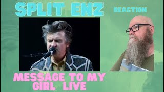 Split Enz  Message To My Girl live 2006 reaction commentary [upl. by Bela513]