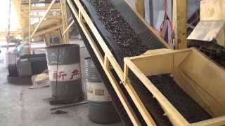 sewage sludgemud pellet machine [upl. by Ri]