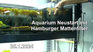 Neues Aquarium geht an den Start und alles verändert sich fortlaufend zum Lernen [upl. by Eednus]