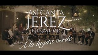 Así Canta Jerez por Navidad  A LA HOJITA VERDE [upl. by Llerrud472]