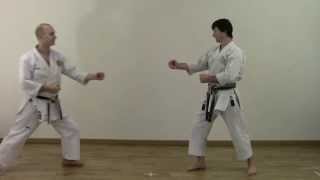 Heian Sandan  Shotokan Kata Bunkai [upl. by Onra]