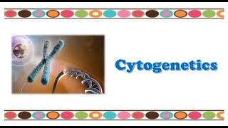 Molecular Biology 🔤  Cytogenetics [upl. by Amadus]