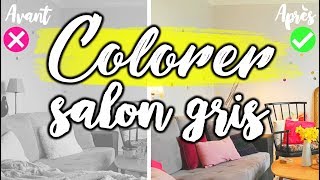 COMMENT COLORER UN SALON TROP GRIS [upl. by Nuahsyar]