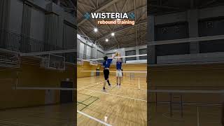 WISTERIA REBOUND TRAINING WISTERIA WORLD VOLLEYBALL [upl. by Oreste774]