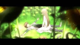 Zetsuen NO Tempest  AMV [upl. by Notnirt]