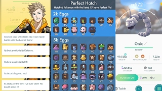 100 IV ONIX HATCHED Pokemon GO Egg Hatching Chart Perfect IVs Egg Chart [upl. by Vedetta]