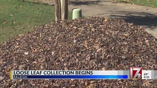 Loose leaf collection begins [upl. by Aokek22]