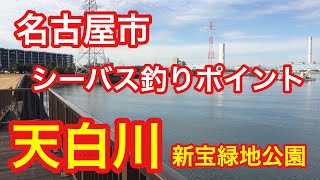 天白川 新宝緑地公園 愛知県 シーバス釣りポイント [upl. by Donia334]