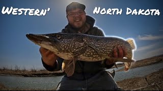 Bobber Fishing HUNGRY Missouri River Pike [upl. by Angle554]