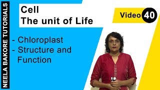 Cell  The unit of Life  NEET  Chloroplast  Structure and Function  Neela Bakore Tutorials [upl. by Flemings329]