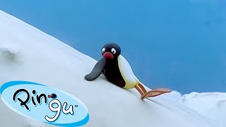 Pingu Learns His Lesson 🐧  Pingu  Official Channel  Cartoons For Kids [upl. by Novaj370]