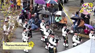 Clan Gordon Pipe Band  Daffodil Parade 2024 [upl. by Amisoc]