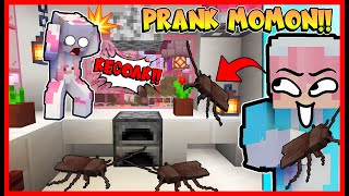 PRANK MOMON DENGAN KECOA YANG PALING DI TAKUTIN  MOMON NANGIS  Feat sapipurba Minecraft [upl. by Heisser]