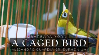 Guardia Plays  A Caged Bird  Barbara York [upl. by Taimi]