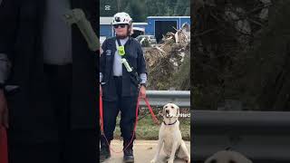 K9s United Searching for Hurricane Victims [upl. by Atikcir]