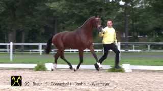 Hanoverian Stallion Licensing and Sales  CatalogNo 99 [upl. by Bartie378]