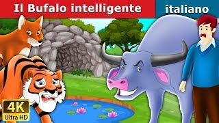 Il Bufalo intelligente  Intelligent Buffalo in Italian  Fiabe Italiane ItalianFairyTales [upl. by Eiten556]