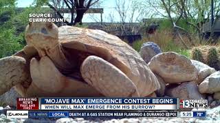 Mojave Max contest offers a free field trip National Parks pass [upl. by Dinerman69]