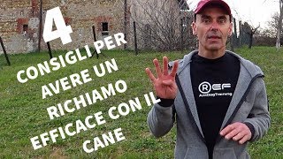 4 consigli per avere un richiamo efficace con il cane [upl. by Willcox]