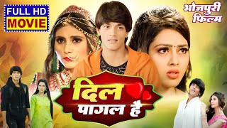 DIL PAGAL HAI I दिल पागल है I SUPERHIT BHOJPURI MOVIE 2024 Ego Prem Deewani Ego Daras Deewani [upl. by Dwyer]