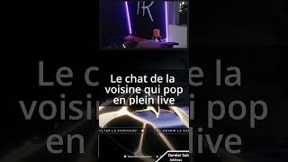 Des Moments Aléatoires En Live Destiny 2 FR destiny2 twitch gaming destiny2memes clips [upl. by Mei]