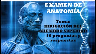 Test sobre irrigación de miembro superior 10 preguntas y la explicación de sus respuestas [upl. by Anoi]