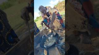 African village of our organic grandmother cooking huge fish for lunch shortfeed africa [upl. by Aihsrop783]