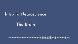 Intro to Neuroscience  The Brain [upl. by Eilyab670]