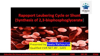 Rapaport leu bring cycle23 BPG a Magical molecule [upl. by Safoelc]