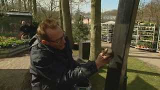 Robs Tuinbeits  Koopmans Verf [upl. by Mak614]