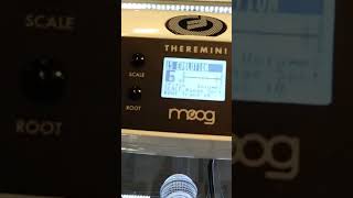 Playing with Moog Theremini Short Video Moog theremin theremini [upl. by End650]