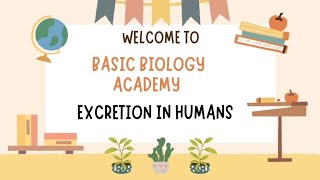 Board Exam Special Series Excretion In Humans [upl. by Anilejna]