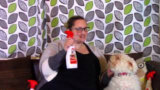 Rug Doctor Carpet Stain Remover Review [upl. by Curren945]