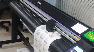 paper stickers digital print and cutting mimaki plotter paper sticker cutting [upl. by Algie769]