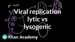 Viral replication lytic vs lysogenic  Cells  MCAT  Khan Academy [upl. by Enitnatsnoc313]