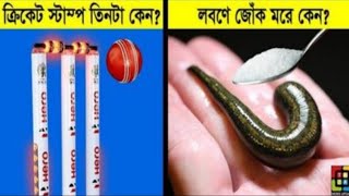 আপনি কি জানেন ক্রিকেটের স্ট্যাম্প কেন তিনটি হয়  Taza News  New Video  Al aqsa mosque  Israel [upl. by Wun]