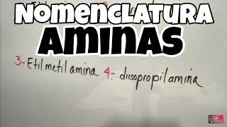 Aminas Nomenclatura Química Orgánica Parte 2 [upl. by Featherstone707]