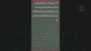 surah yunus aayat 7173💯✔️qurantarjuma shorts youtubeshorts trending Mohammadaffanis3ok [upl. by Zipah]