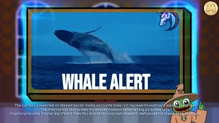 How To Avoid the Whale Trap Spot Big Moves in Crypto  MemeFi [upl. by Annehsat]