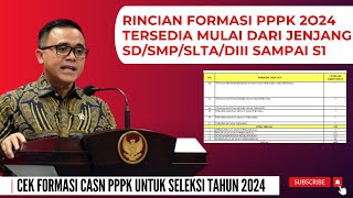 CEK RINCIAN FORMASI CASN PPPK 2024 TERSEDIA DARI JENJANG SD SAMPAI S1 [upl. by Shir25]